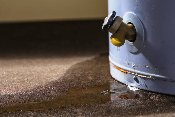 Water damage restoration insurance claims in Kalifornsky, AK
