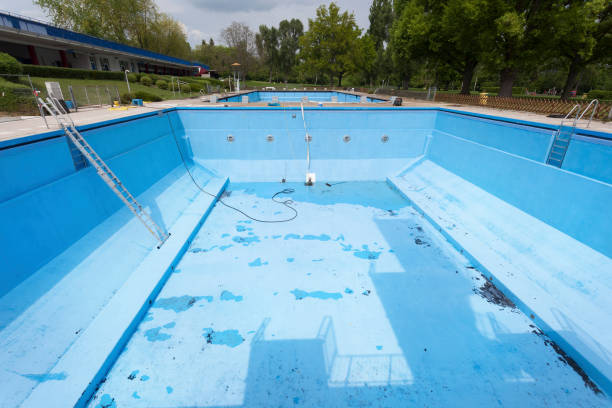 Best Water damage contractors near me  in Kalifornsky, AK