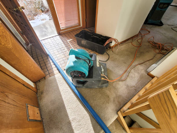 Best Water damage restoration experts  in Kalifornsky, AK
