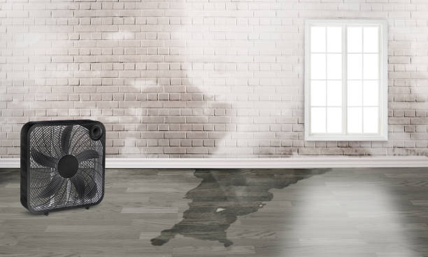 Water damage restoration process in Kalifornsky, AK