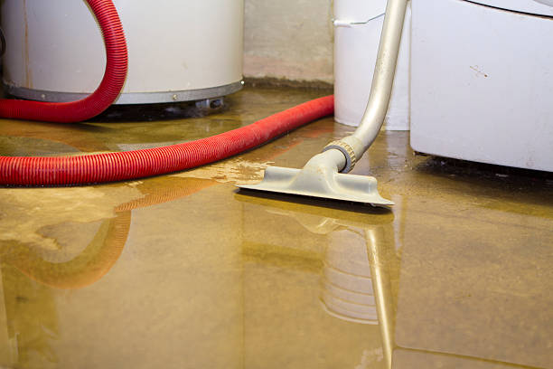  Kalifornsky, AK Water damage restoration Pros