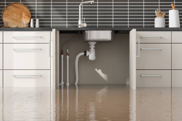 Best Water damage restoration process  in Kalifornsky, AK